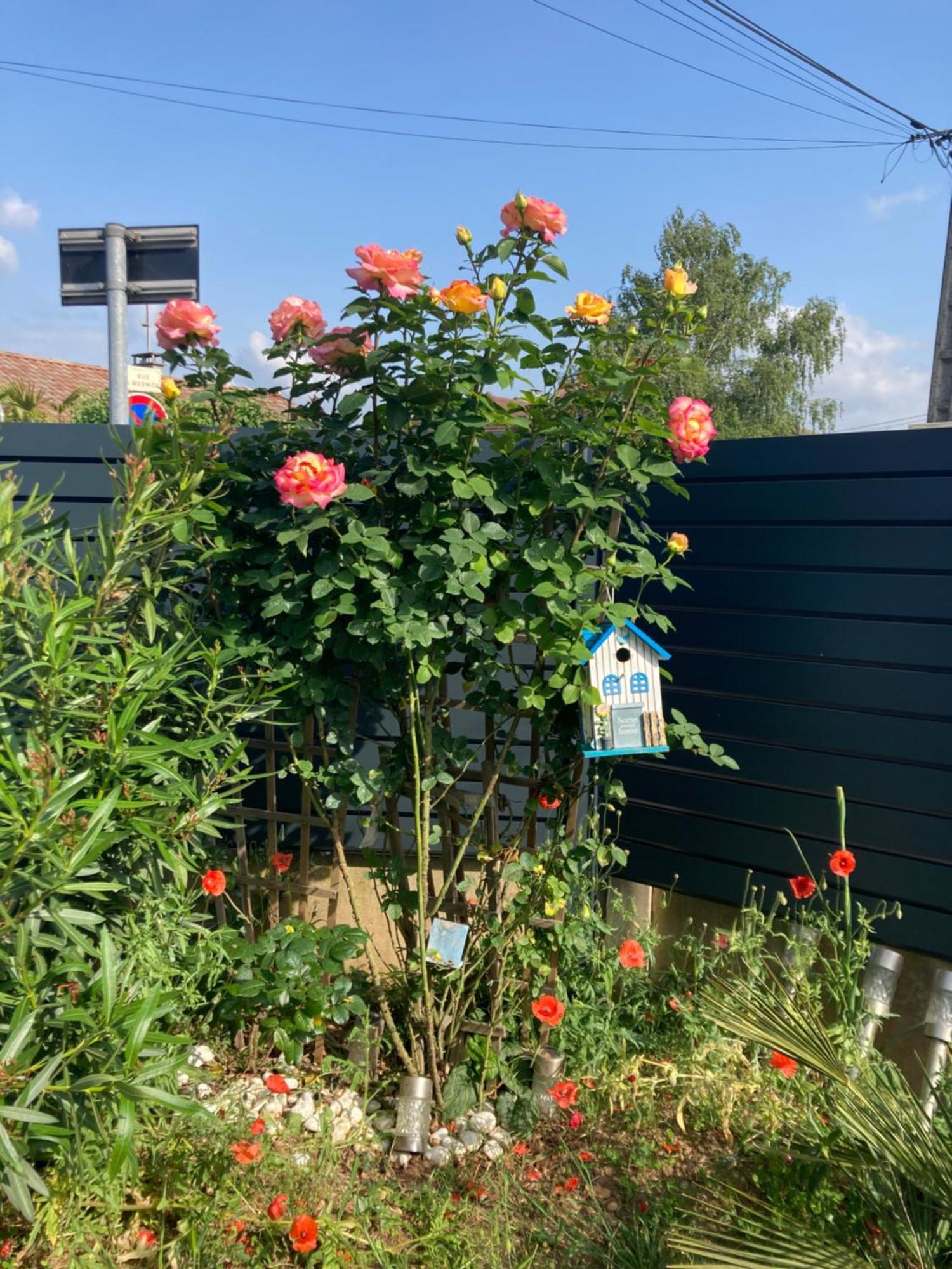 Au Calme Dans Maison En Rez De Jardin A 2,2 Kms Du Groupama Stadium Et Salle Ldlc Arena Meyzieu Esterno foto