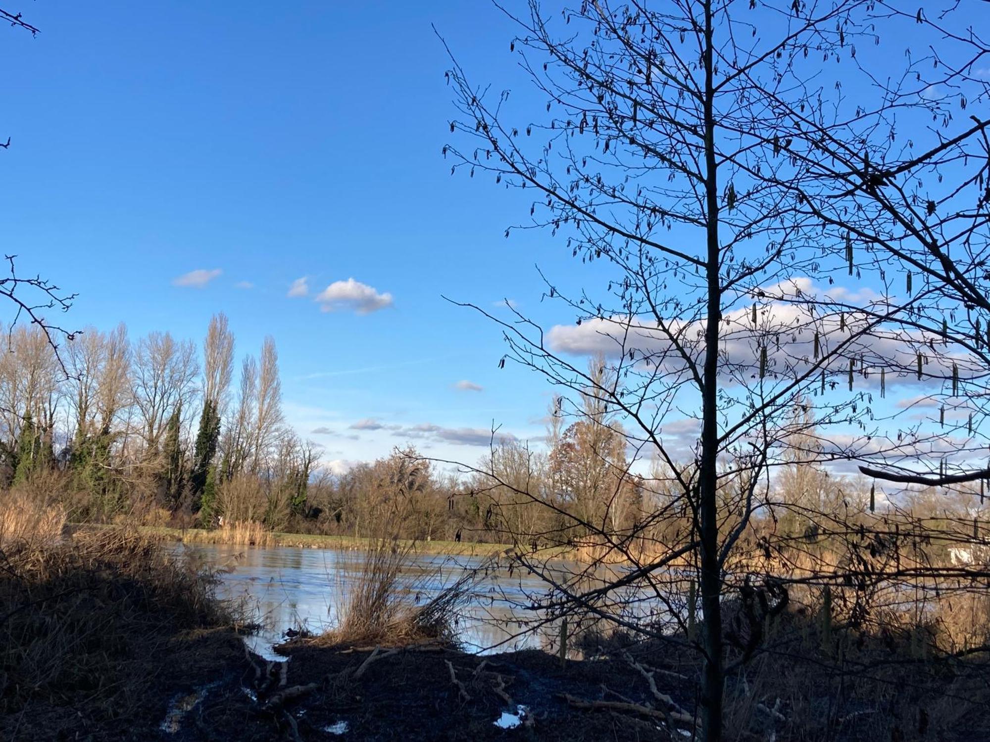 Au Calme Dans Maison En Rez De Jardin A 2,2 Kms Du Groupama Stadium Et Salle Ldlc Arena Meyzieu Esterno foto